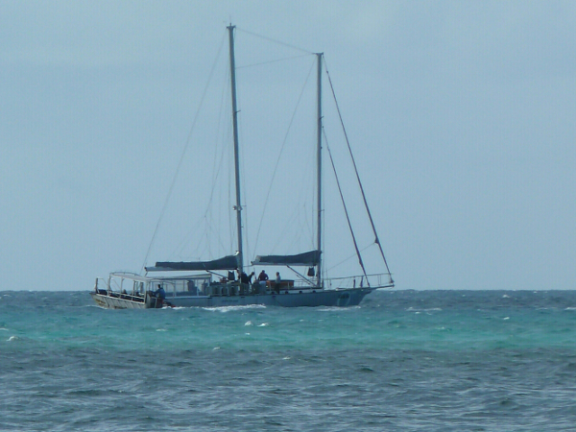 Segeln vor Cairns