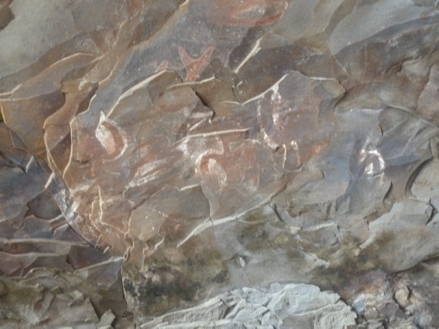 Felszeichnungen in der Höhle