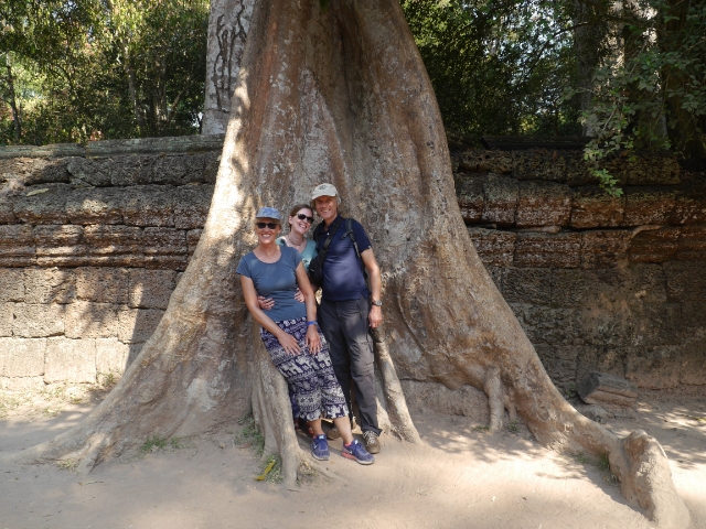 Angkor Wat Baum Familie