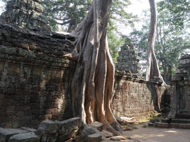 Angkor Wat Ta Prohm 