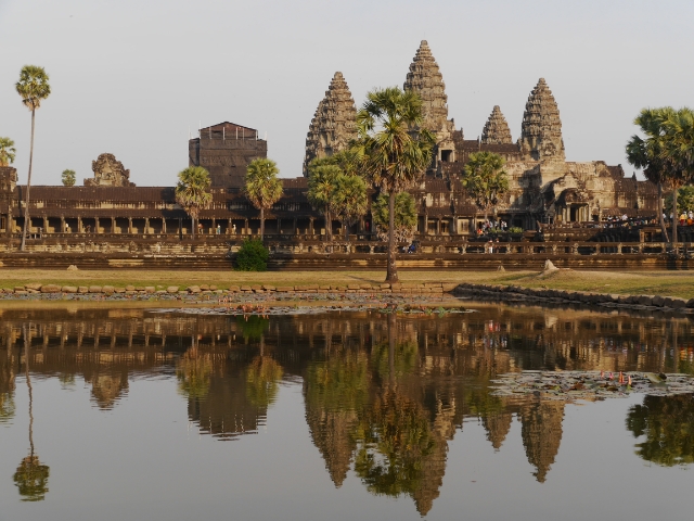 Angkor Wat Seerosenteich