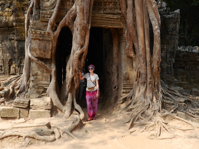Angkor Wat Baumwurzel 