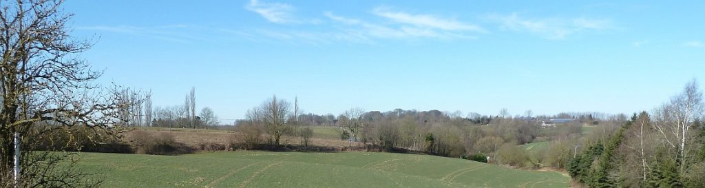 Ein weiter Blick auf eine ländliche Landschaft mit offenen Grasfeldern, vereinzelten Bäumen und einem klaren blauen Himmel mit wenigen Wolken.