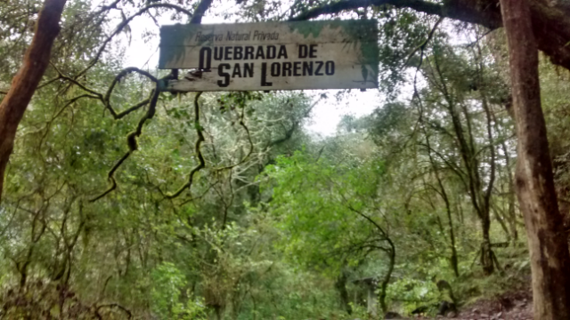 Schild "Quebrada de San Lorenzo" hängt über einem Pfad im Wald.