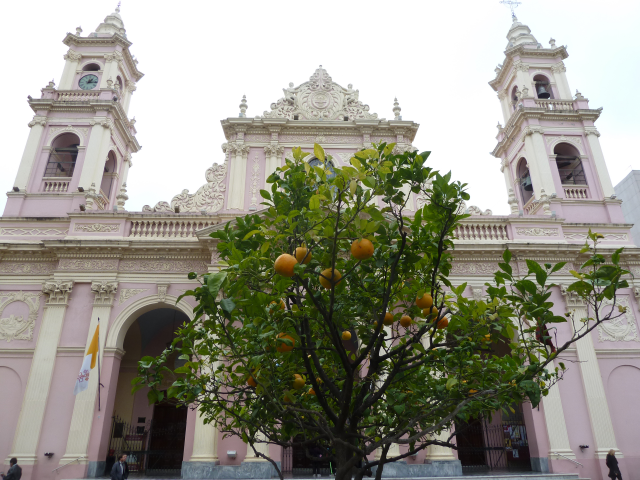 Weiße Kathedrale, davor Orangenbäume.