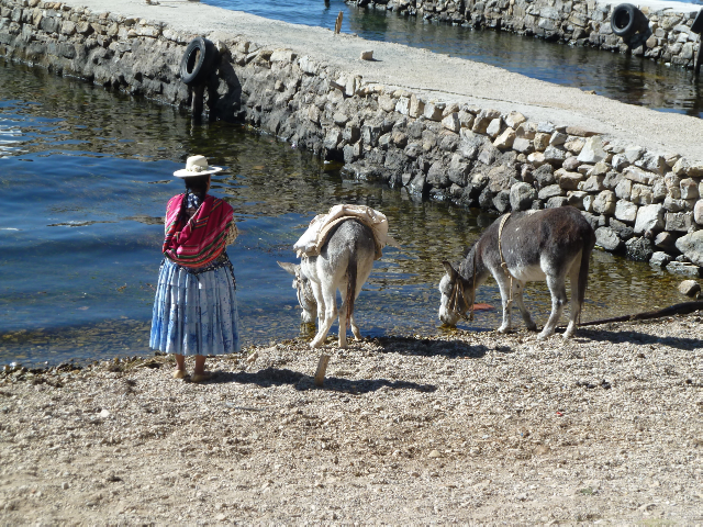 Indigene Frau steht mit zwei Eseln am Ufer.
