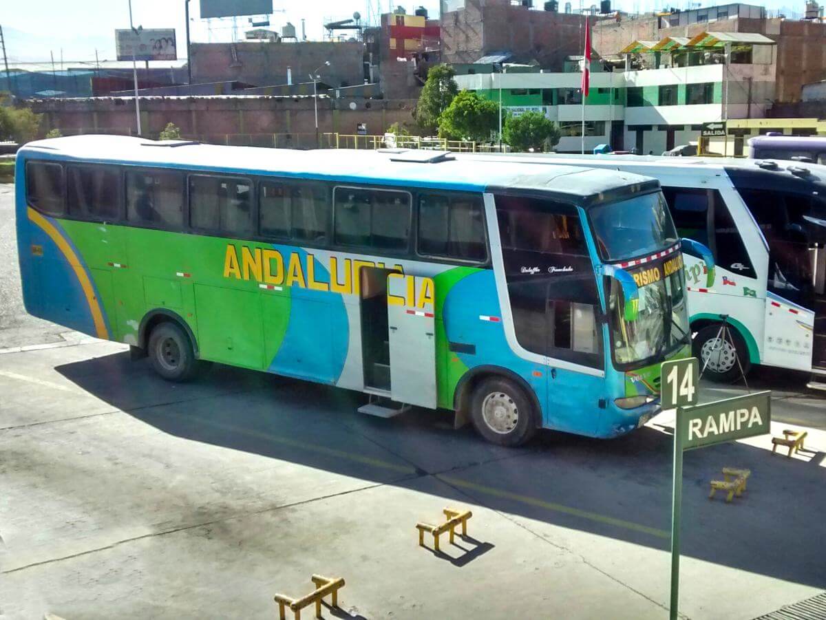 Bunter Bus steht am Busbahnhof.