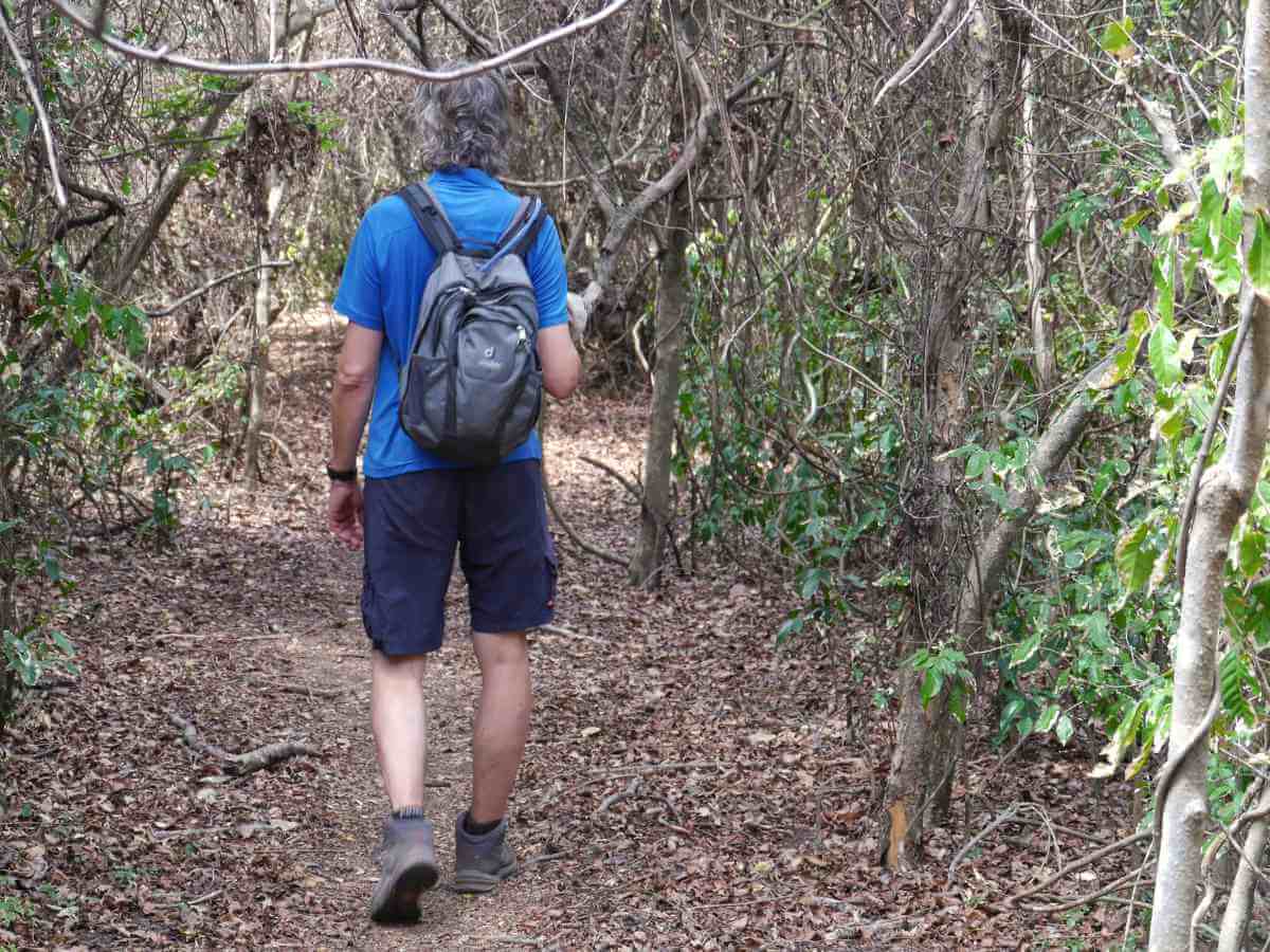 Marcus läuft durch trockenen Wald.