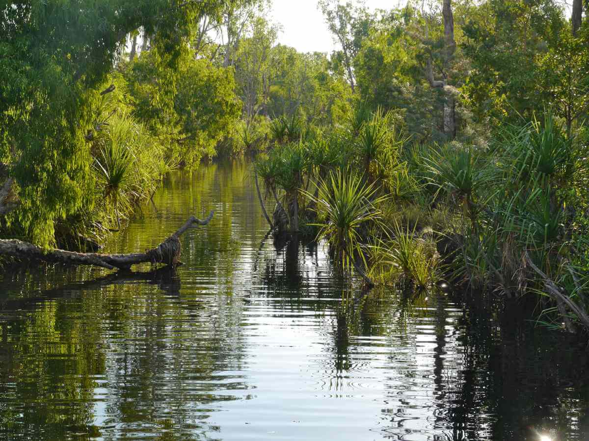 Abfluss aus dem See mit grüner Vegetation an den Ufern.