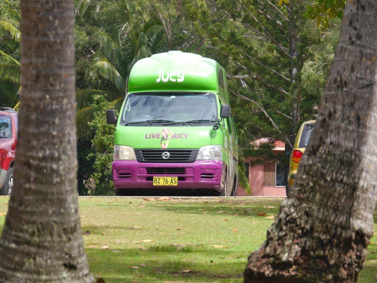 Grüner Campervan steht zwischen großen Bäumen.