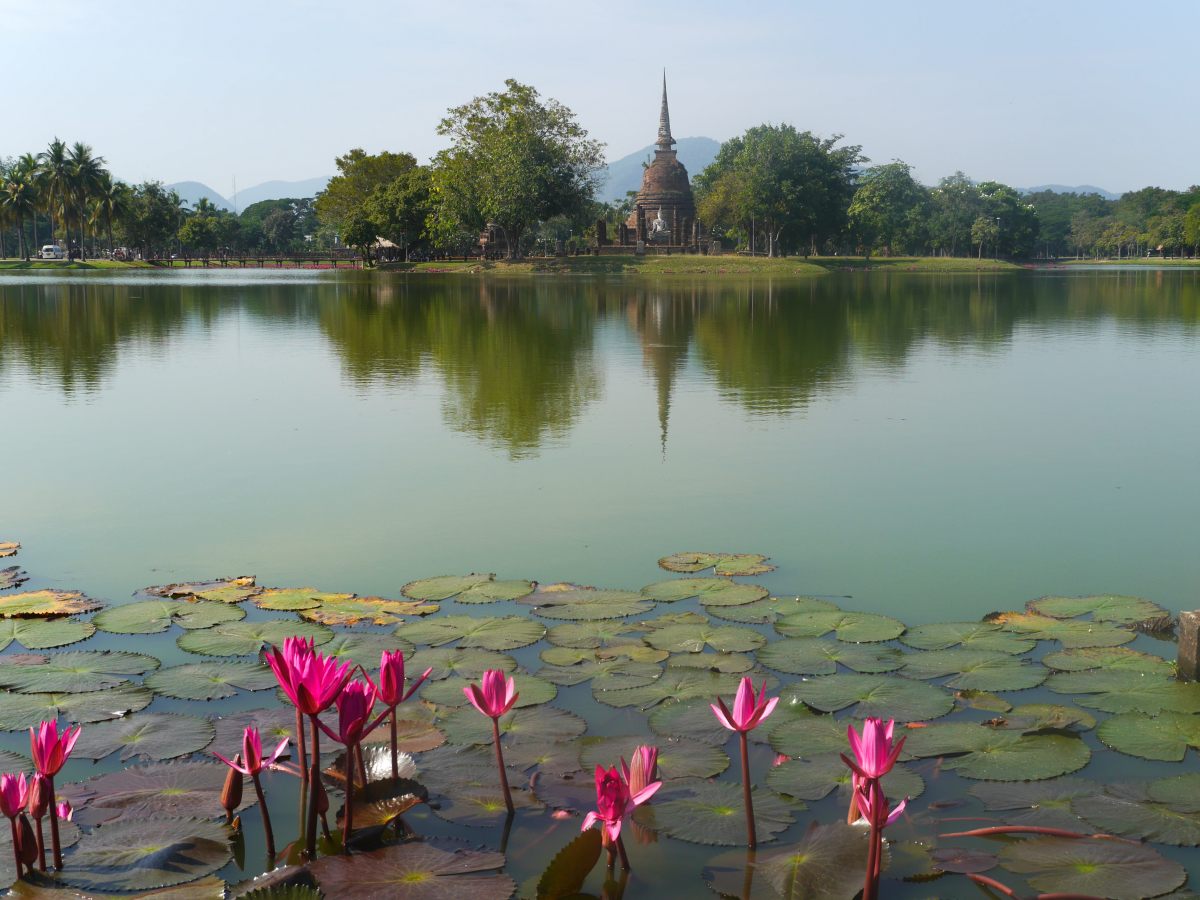 Teich mit pinken Blüten, am anderen Ufer Tempel.