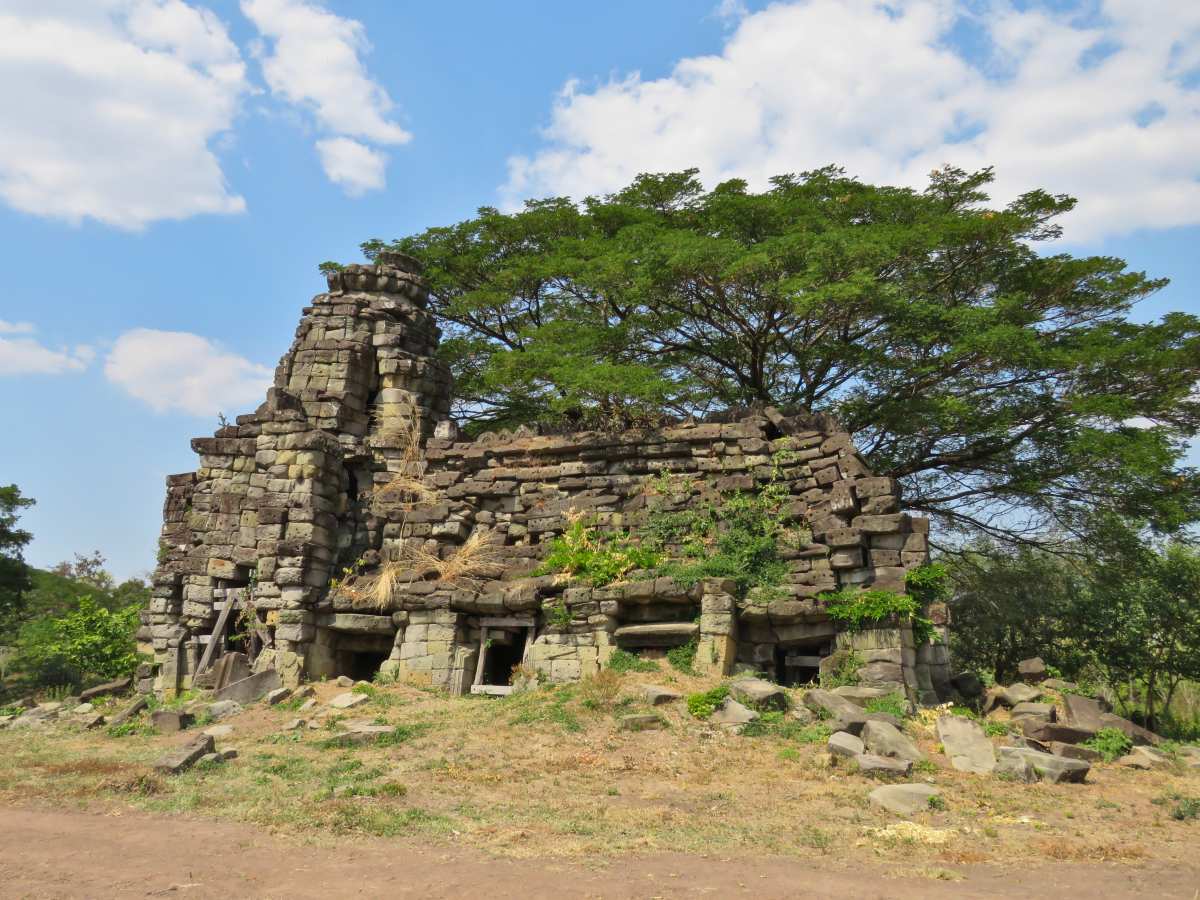 Tempelruine neben grünem Baum.