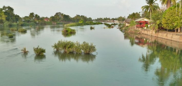 Blick über den Mekong mit Büschen und Inselchen im Wasser
