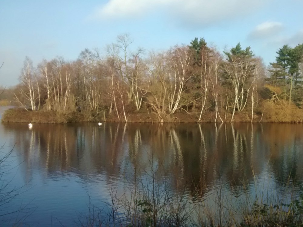 Insel spiegelt sich im See.