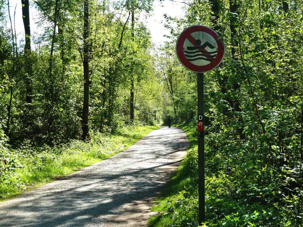 Waldweg mit "Schwimmen verboten"-Schild.