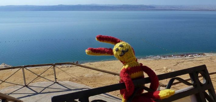 Blick auf das Tote Meer mit Reise-Ringel im Vordergrund