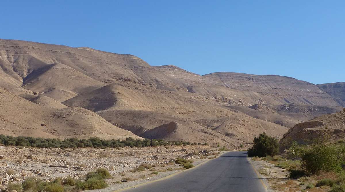 Eine asphaltierte Straße führt durch eine karge Wüstenlandschaft mit schroffen Hügeln unter einem klaren blauen Himmel. An den Straßenrändern ist spärliche Vegetation sichtbar, was diese Route zu einer idealen Route für Autofahren-Enthusiasten macht.