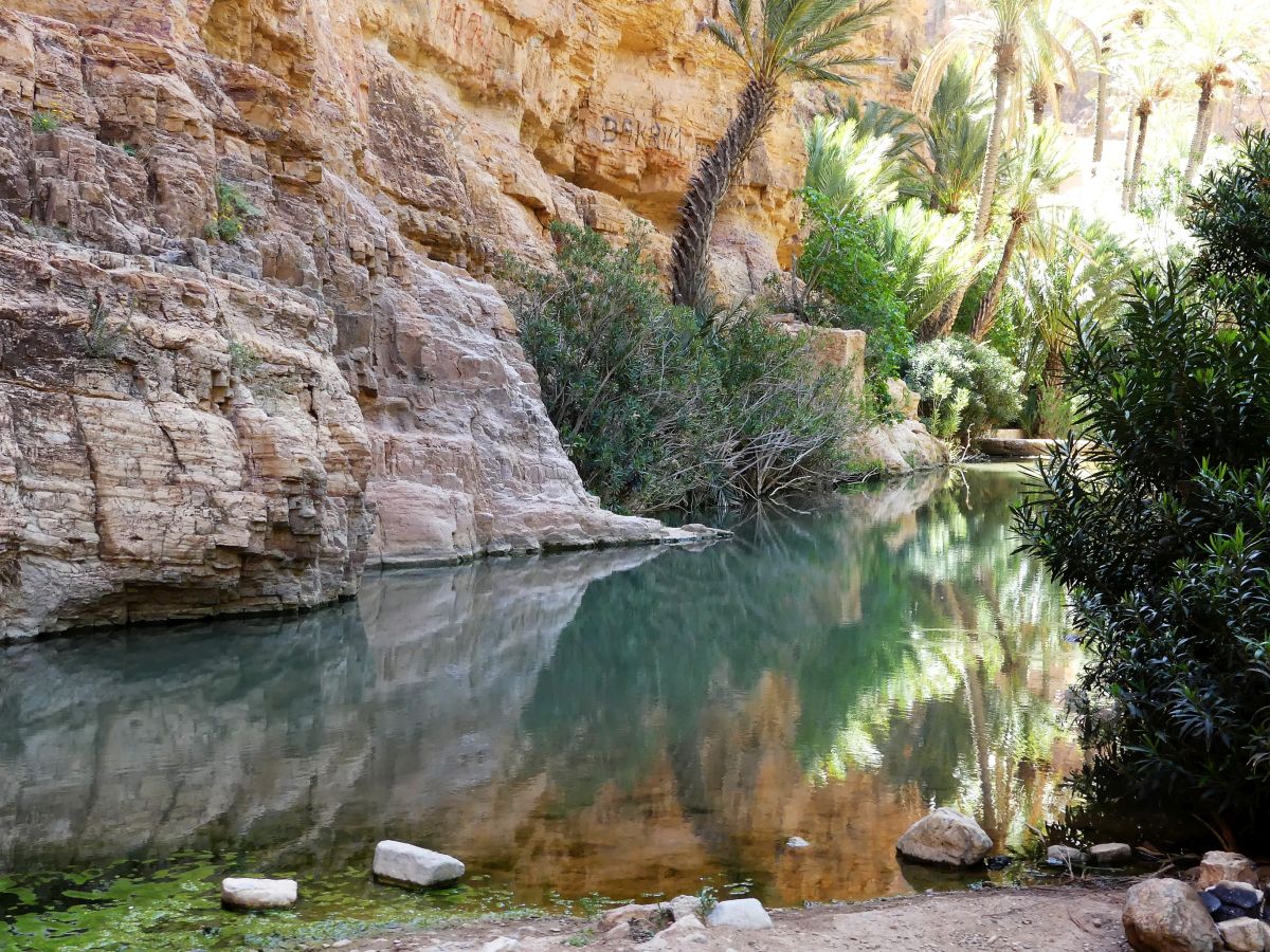 Oase Ait Mansour