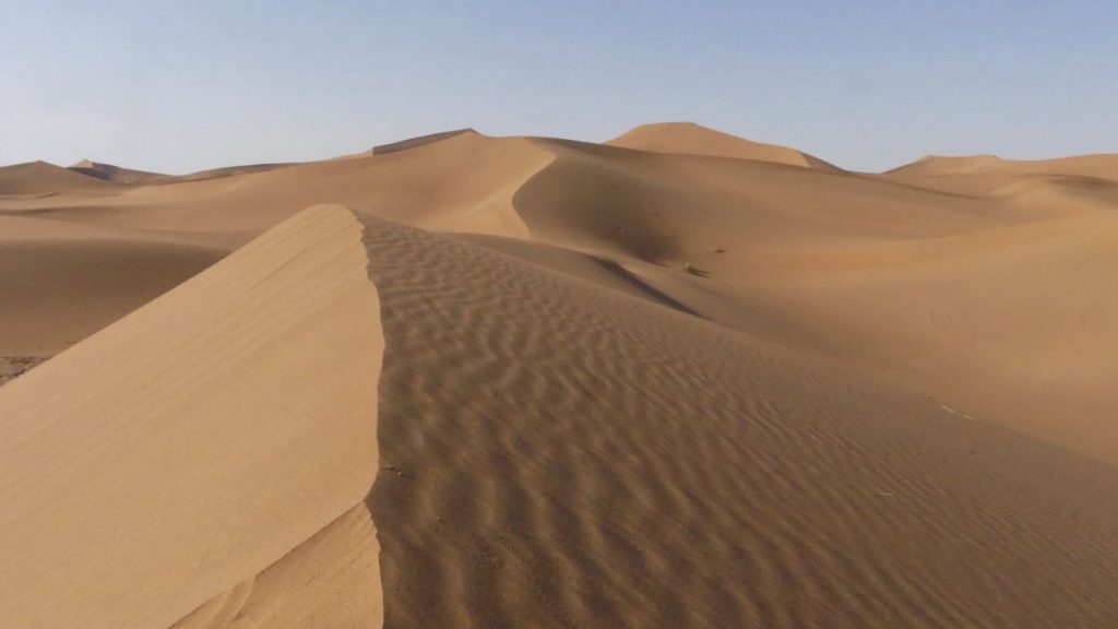 Marokko Wüstenour: Sanddünen in der Sahara in Marokko