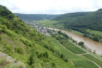 Moselsteig