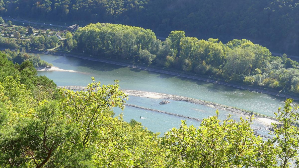 Wandern auf dem Rheinsteig bei Rüdesheim.