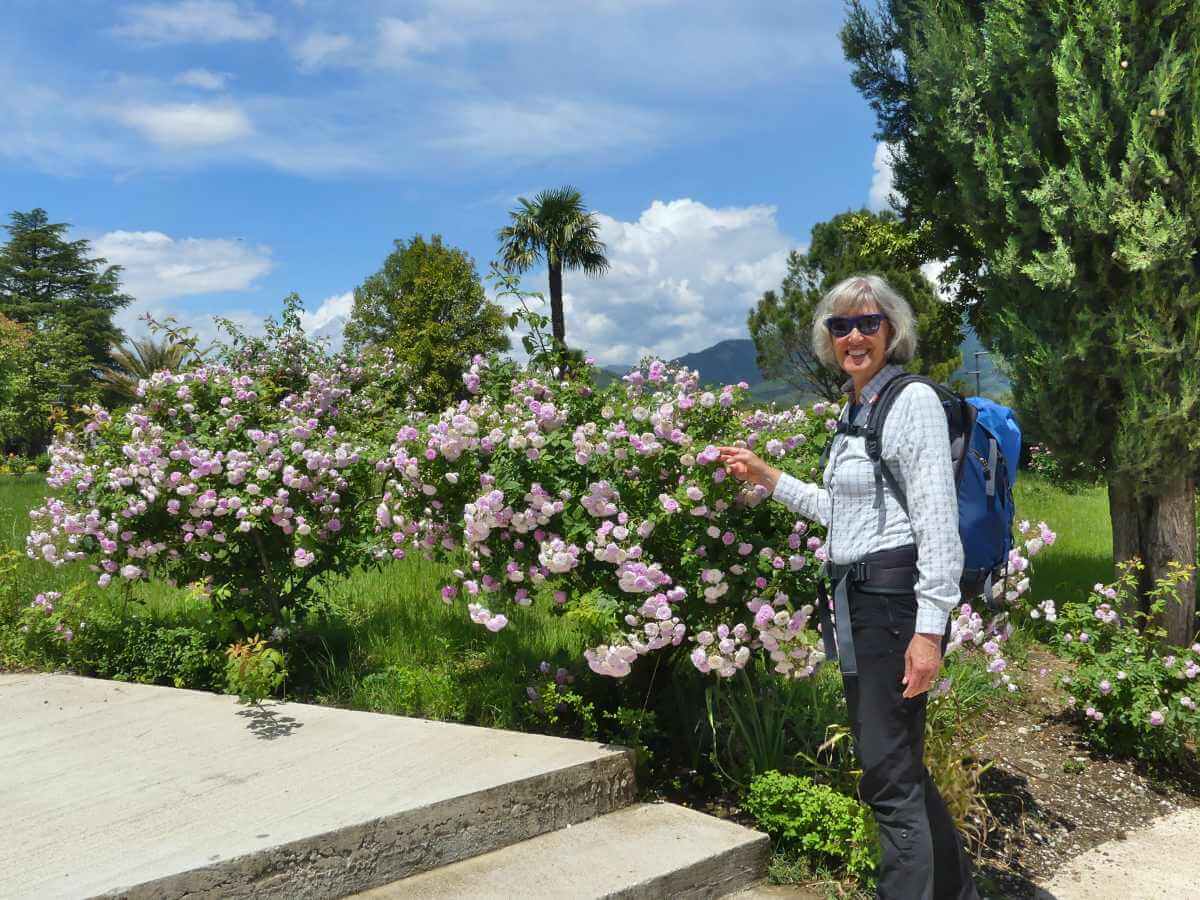 Gina steht an einem großen Rosenstrauch mit rosa Blüten.