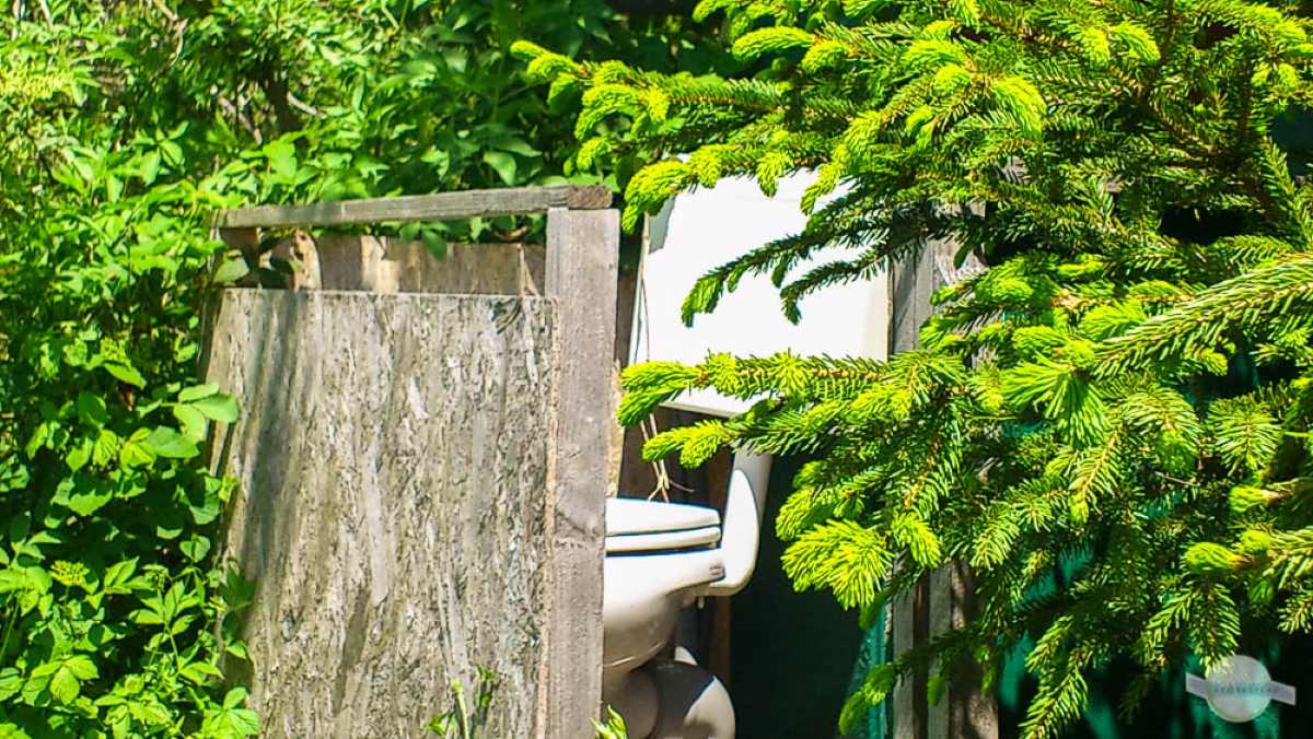 Toilette zwischen Holzwand und Büschen.