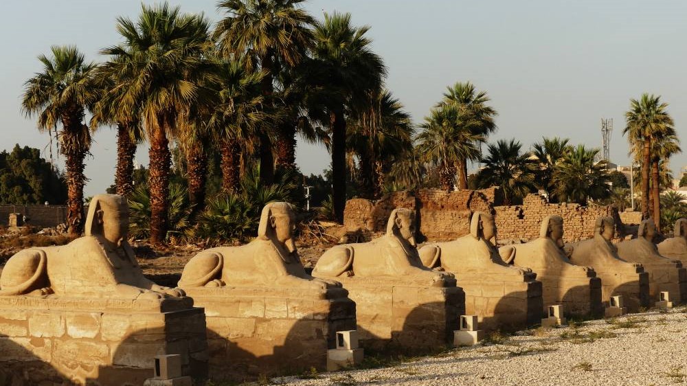 Eine Reihe von Sphinxstatuen, aufgereiht mit Palmen und antiken Ruinen im Hintergrund, unter einem klaren Nilhimmel.