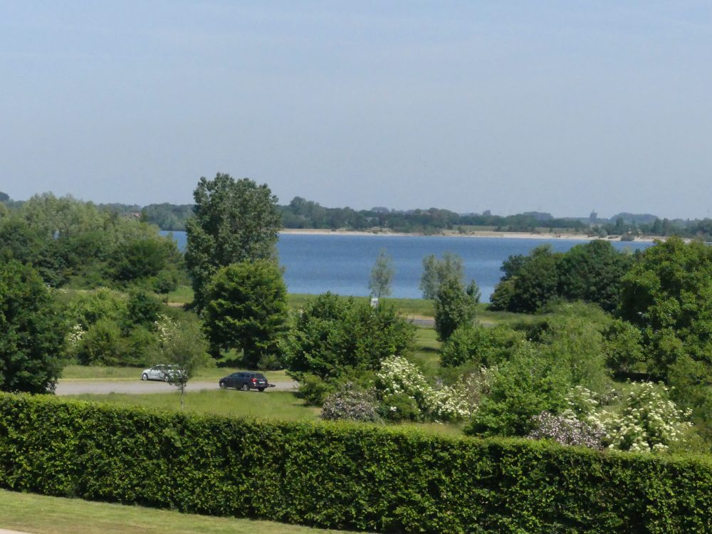 Grünes Ufer am Rhein.