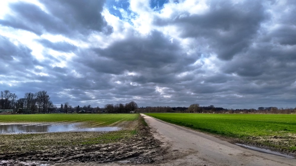 Feldweg und Wolkenhimmel.