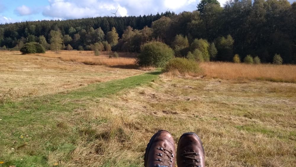Blick über die Landschaft in der Eifel.