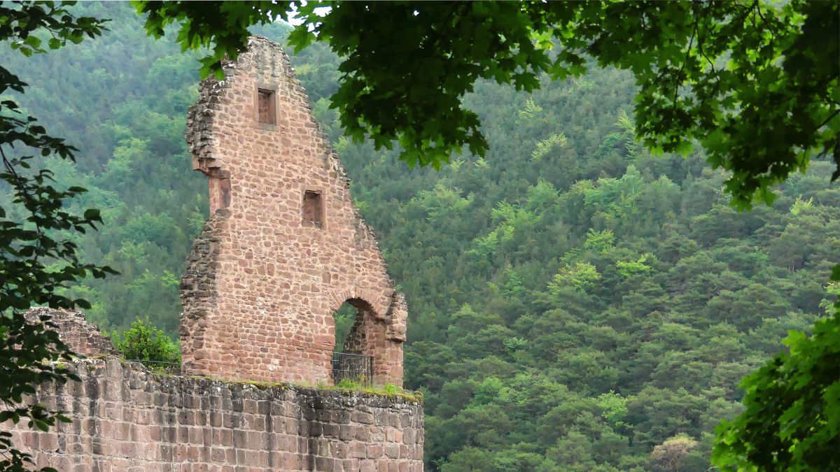 Reste einer Giebelwand im Wald.