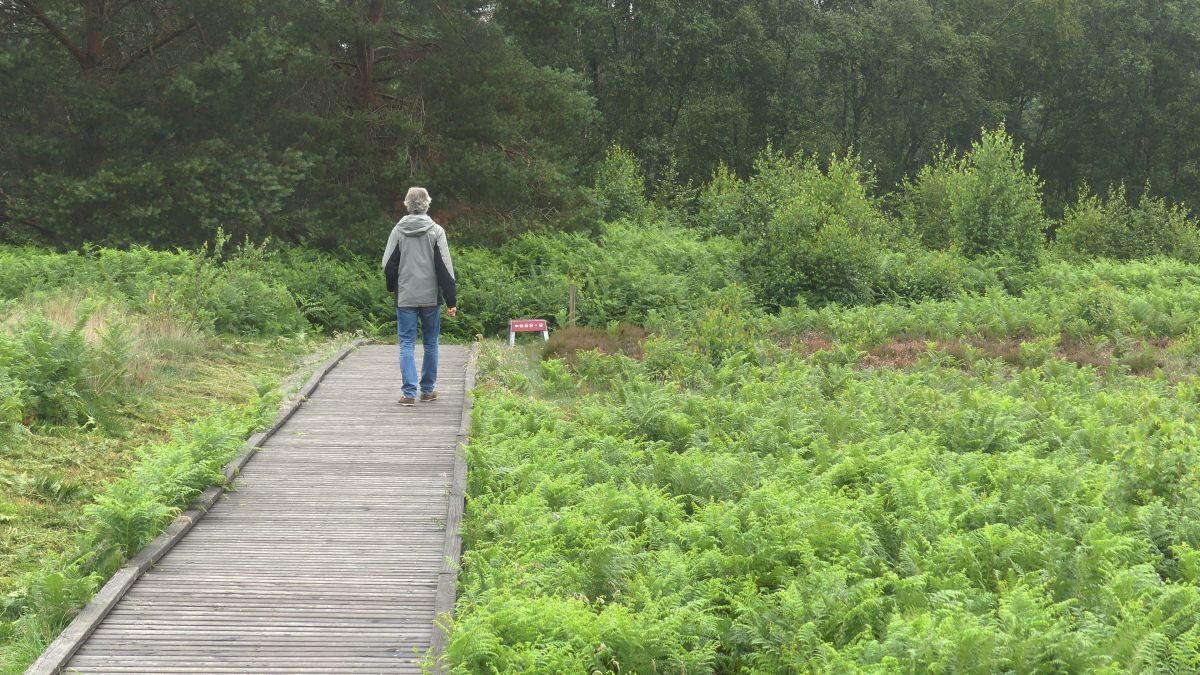 Marcus läuft über einen Holzbohlenweg im Moor.