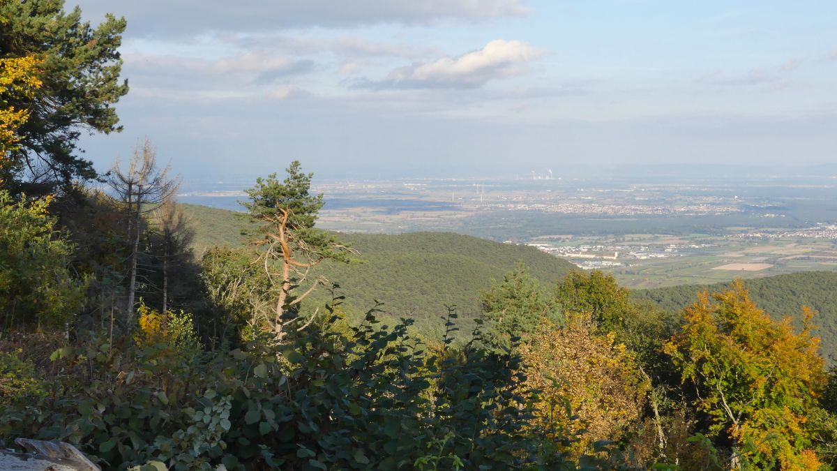 Aussicht über Hügel bis ins Rheintal.