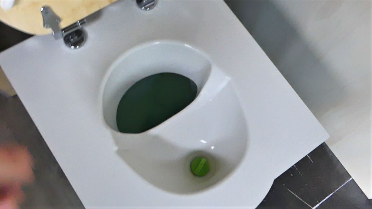 Trenneinsatz der Trockentrenntoilette.