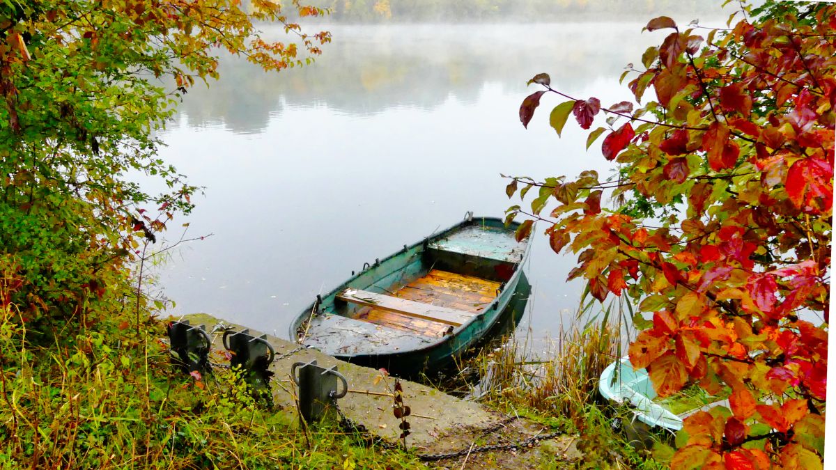 Ruderboot am Rand eines herbstlichen Sees.