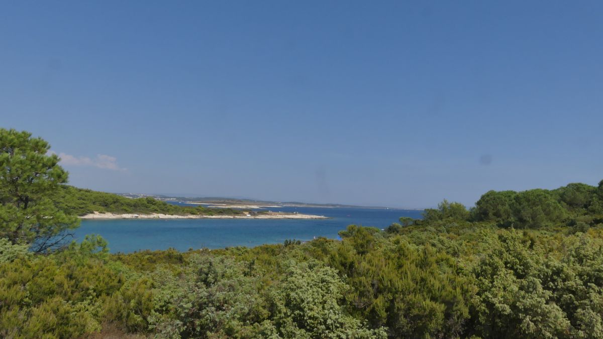 Grüne Vegetation und blaues Meer.