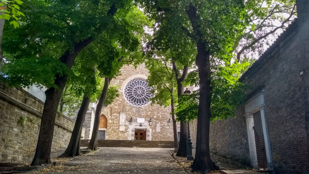 Allee mit grünen Bäumen führt zur Kathedrale.