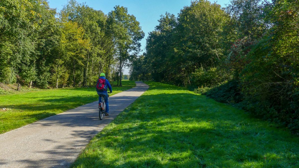 Radler auf Weg zwischen grünem Gras und Bäumen.