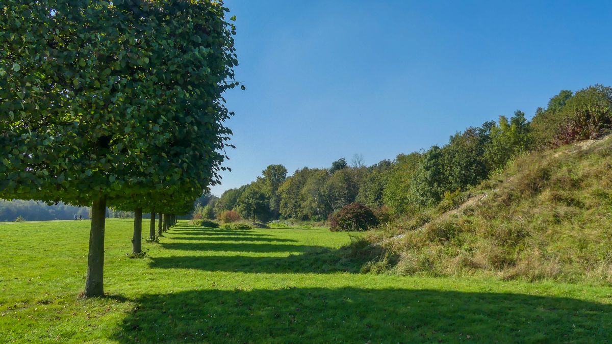 Grüner Rasen und Formbäume im Nordsternpark.