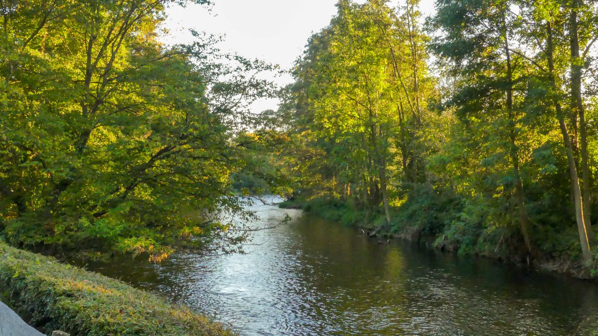 Rur mit grünen Ufern.