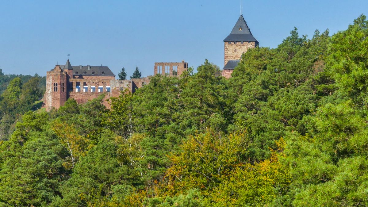 Burg Nideggen auf grünem Hügel.
