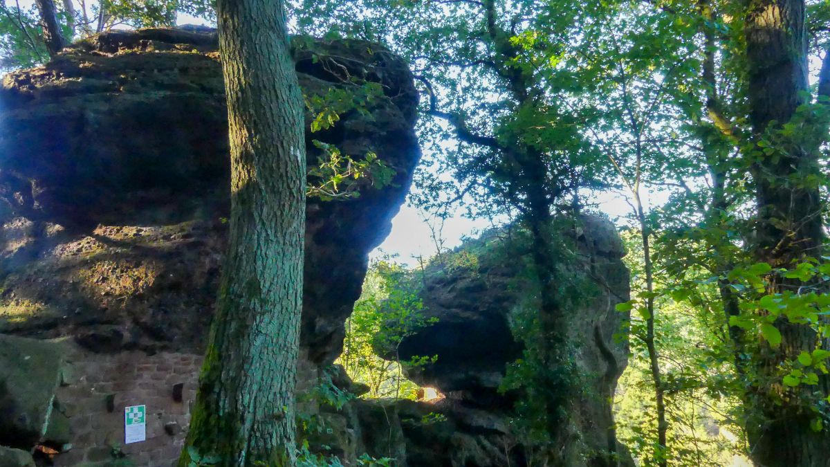 Hohe Felsen im Wald.