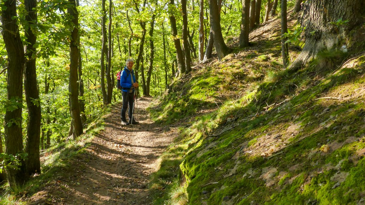 Wanderer auf schmalem Waldweg.