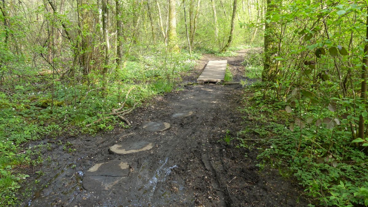 Matschiger Weg im Wald.