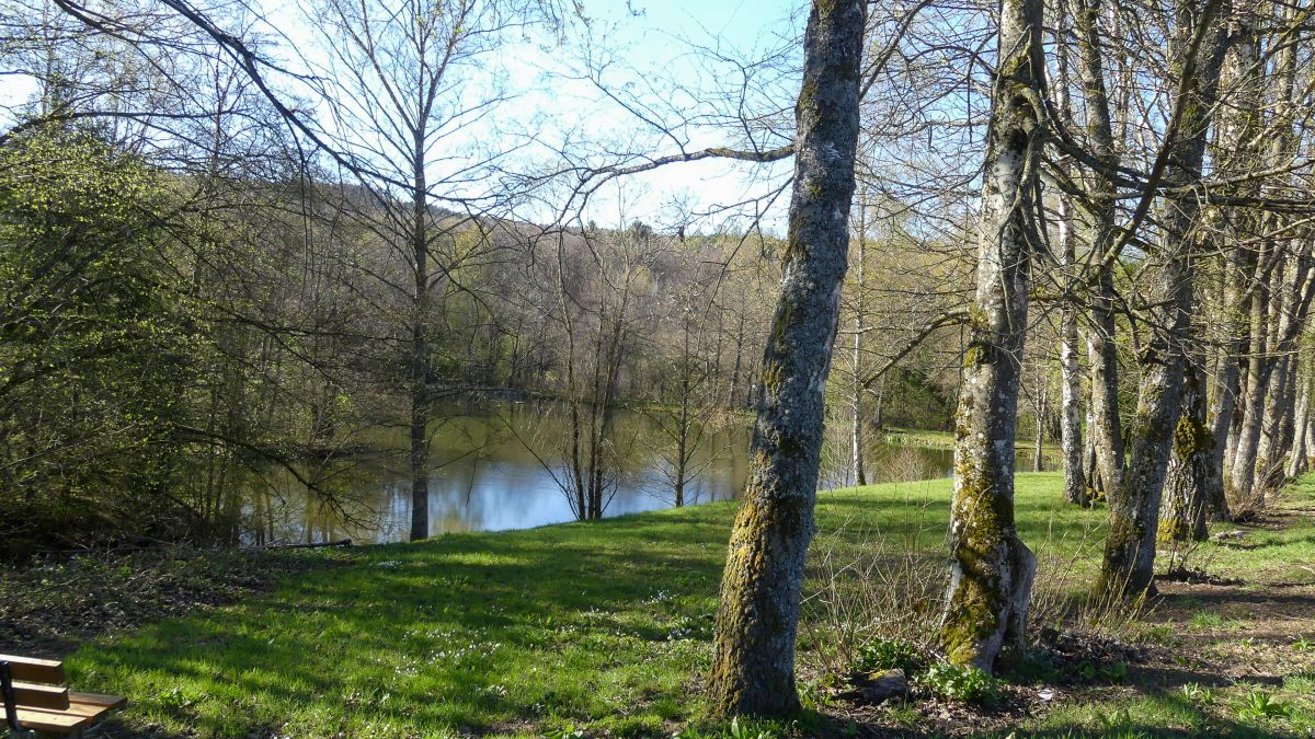 Kleiner Weiher.