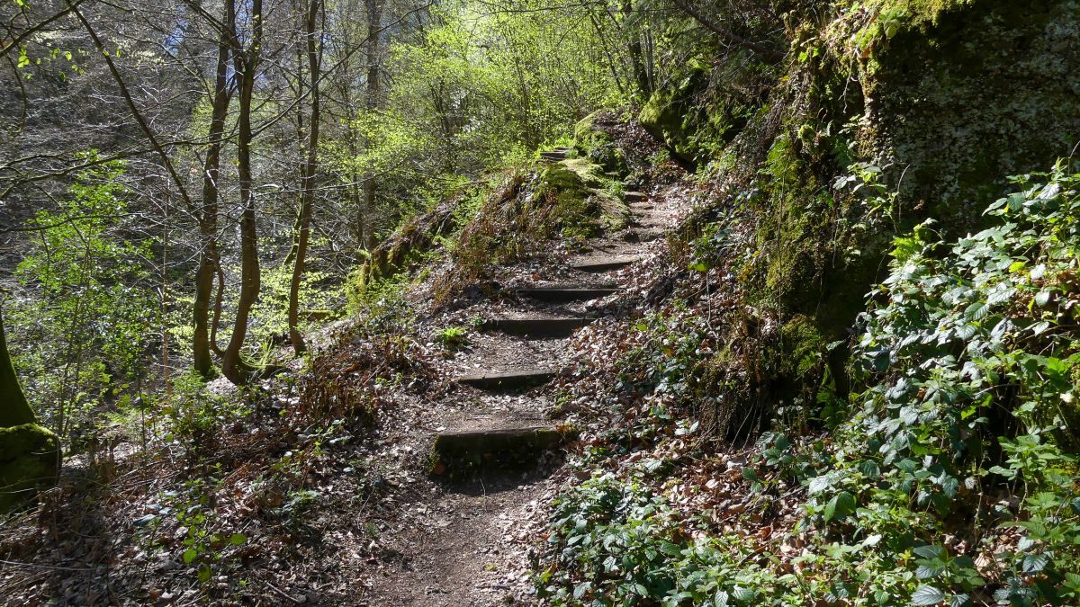 Weg mit Stufen im Wald.