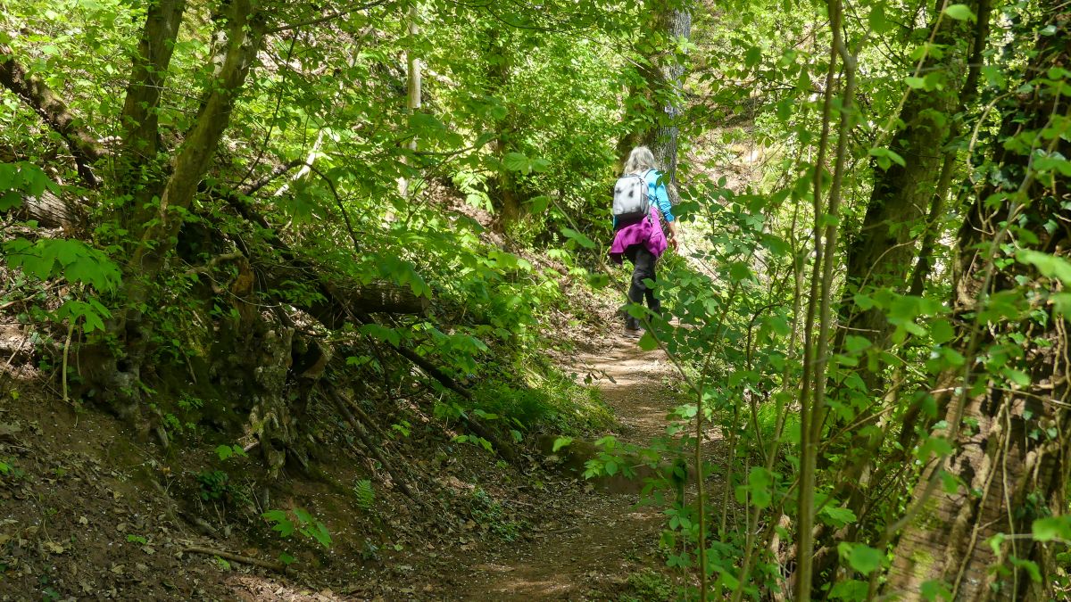 Wandererin auf schmalem Pfad im grünen Wald.