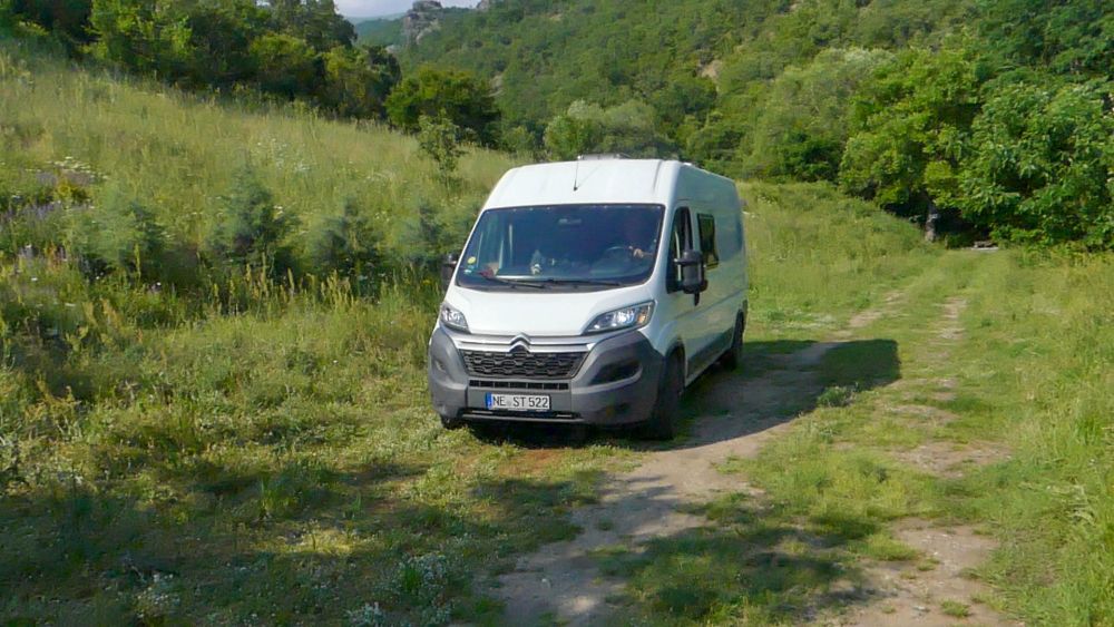 Wohnmobil steht im Grünen.