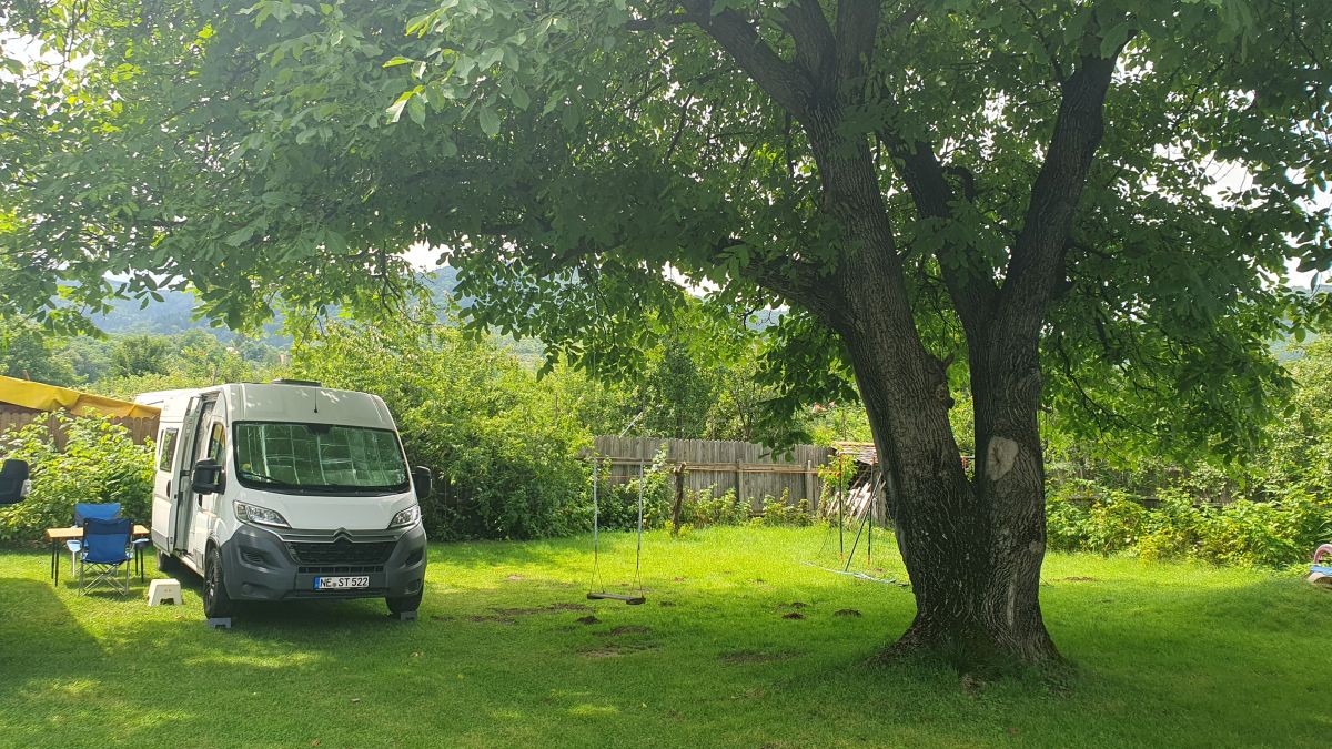 Wohnmobil steht unter einem großen Baum.